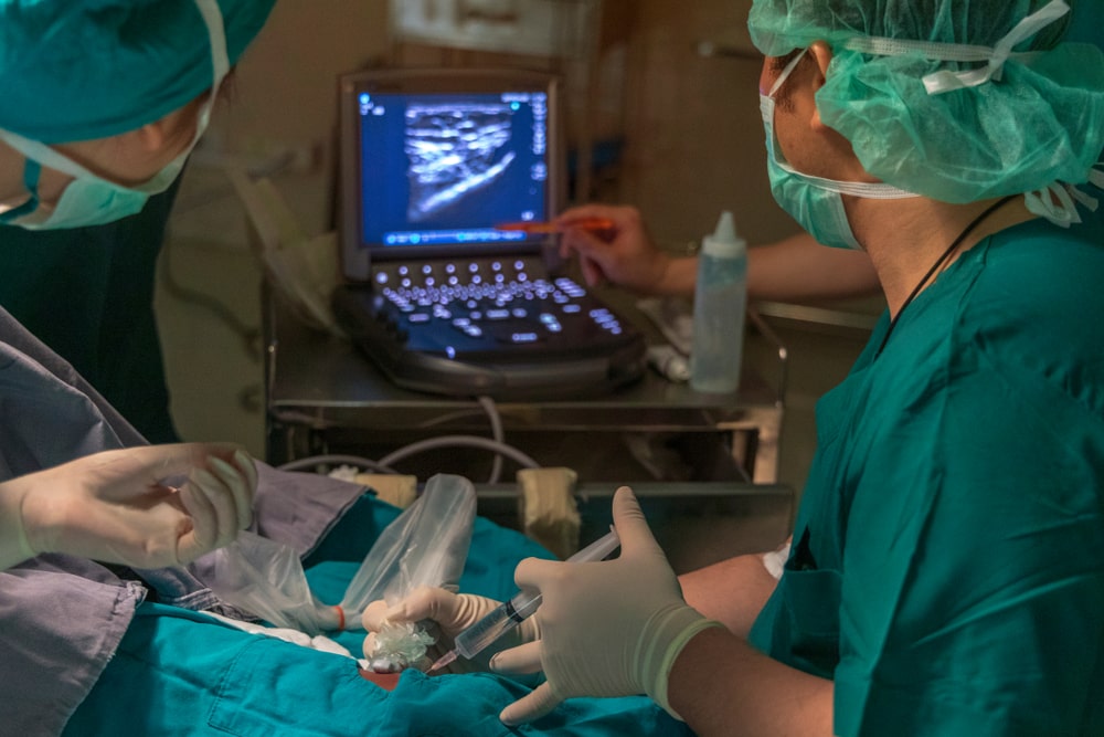 Ultrasound guided injection monitor and needle