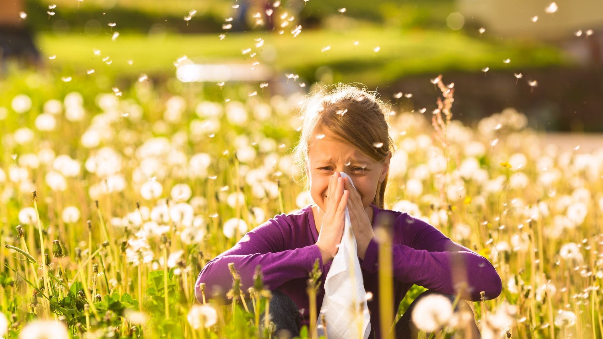 Do different types of hay fever present at different times of the year?