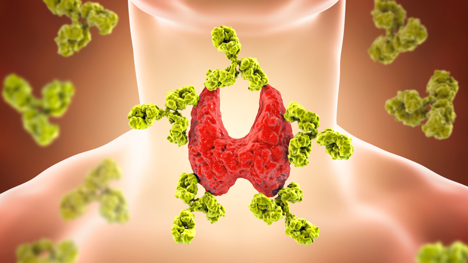 Types Of Thyroid Disorders: Main Conditions And What Causes Them